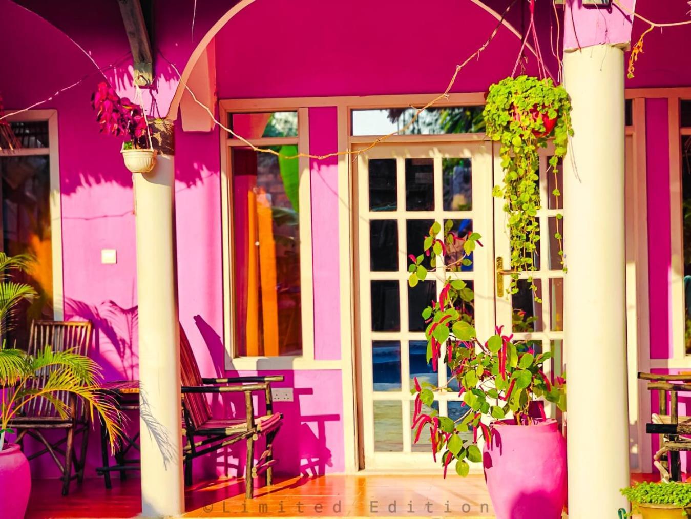 Nungwi Roses Villa ภายนอก รูปภาพ