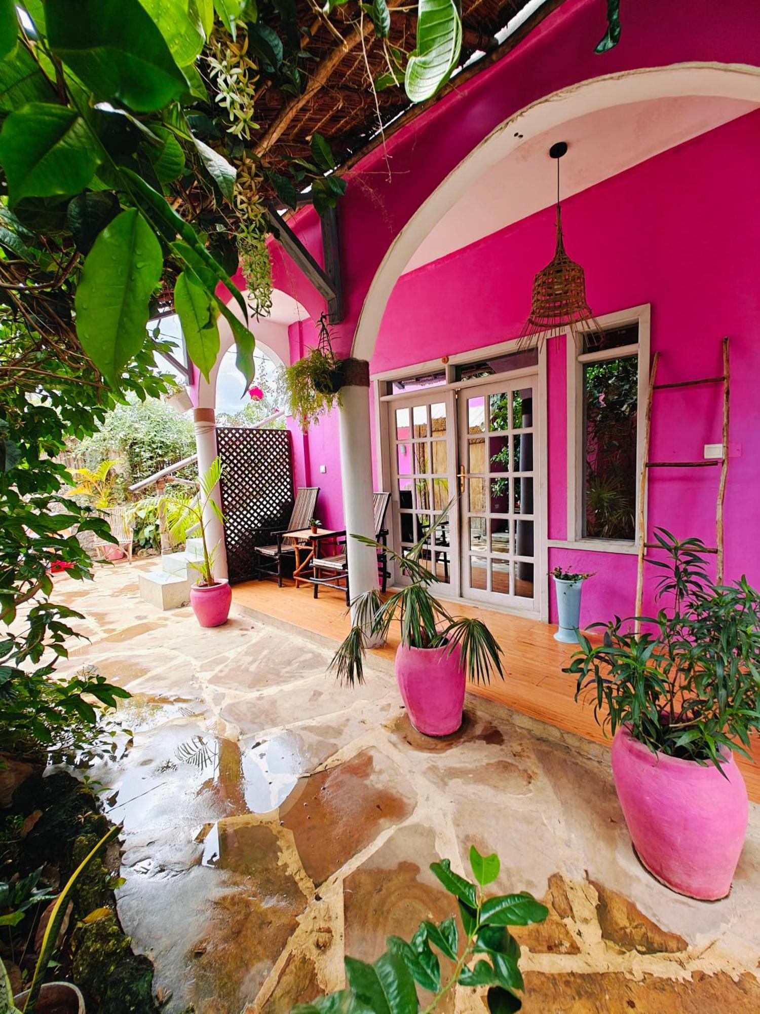 Nungwi Roses Villa ภายนอก รูปภาพ