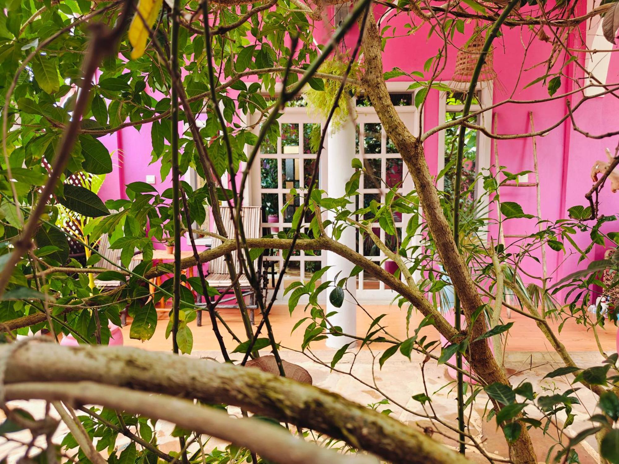 Nungwi Roses Villa ภายนอก รูปภาพ